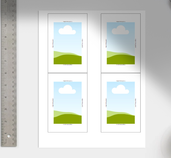 Canva Template for Custom 65 x 90mm Photo Magnets